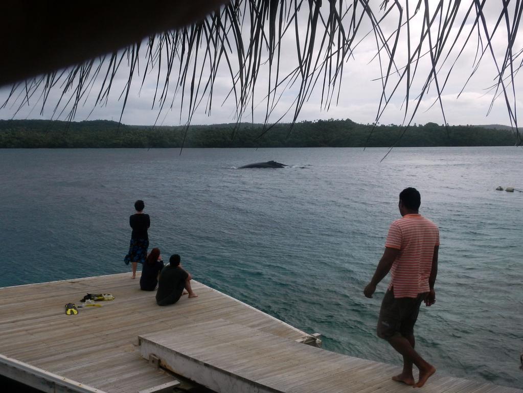 Tongan Beach Resort Utungake Dış mekan fotoğraf